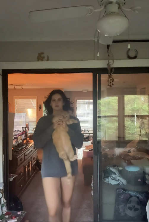 When life gives you an orange cat...🤣🤣#cat #catsoftiktok #funnycat #funnyvideo #funnytiktok #fyp #foryou #tiktok 