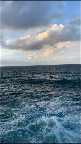 🤣🤣🤣 #funnyvideo #funnyvideos #lucu_ngakak #funnyvideoscomedy #memelucuindonesia 