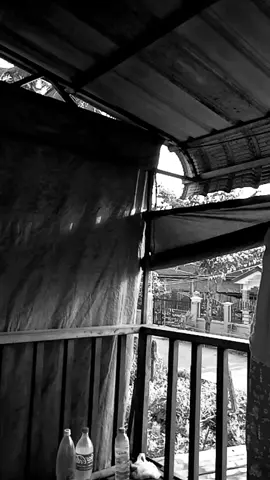 #မျက်စိနောက်သွားရင်_sorry😂 #fypシ 