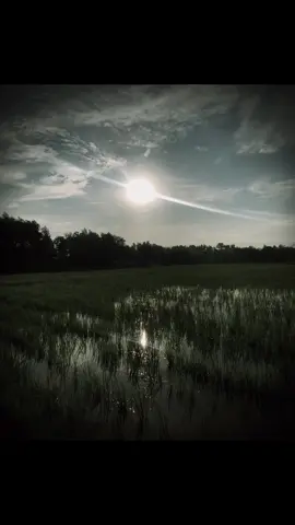 “ 点阳光怎能盛夏,一点奇爱怎能留 住一个人! “  