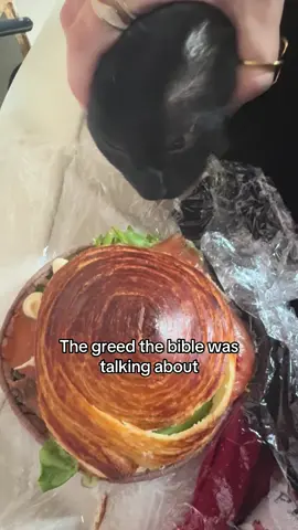 c’est terrible la faim comme ça  #greed #bible #cats #cat #chat 