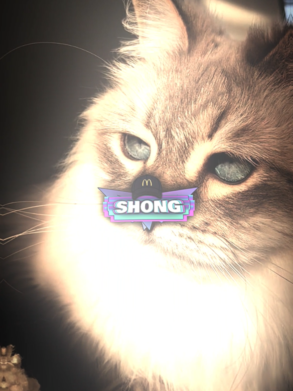 #fyp #shong #preset #foryoupage post to delete 👀