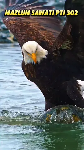 don't under review My video #unfrezzmyaccount😭😭 #viralvideo🙏🙏🙏💞💞💞 #unfreezemyacount #unfreezemyacount🙏😭😭 #viralvideo 