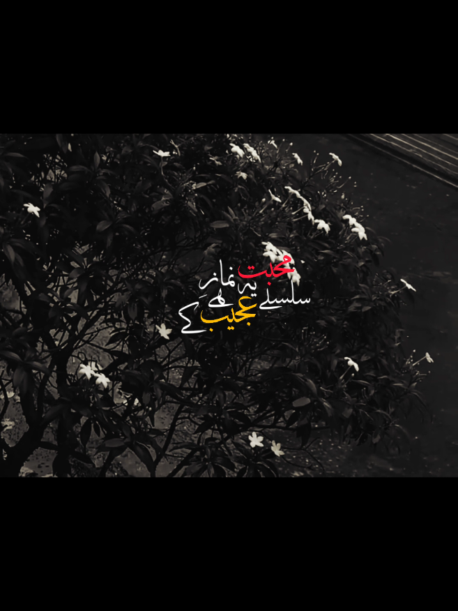 Ajeeeb Hain Ye Namaze Muhabbat Ke Silslay!...🫠🥀 #foryou  #foryoupagе  #fyp  #aesthetic  #poetry 