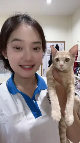 เอ็งรักข้าบ้างมั้ยนิผิงผิง😵‍💫