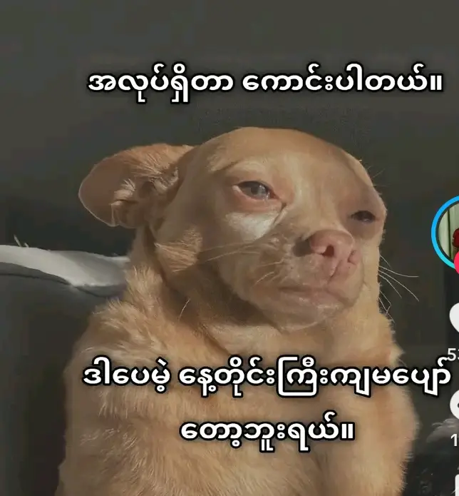 နေ့တိုင်းစိုတော့မပျော်တော့ဘူး🥺🥺🥺