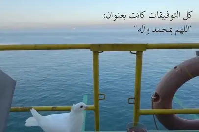 اللهُم بمحمد وال محمد🤍#قصائد_حسينيه #محتوى_حسيني #باسم_الكربلائي #اللهم_صل_على_محمد_وآل_محمد #يالله 