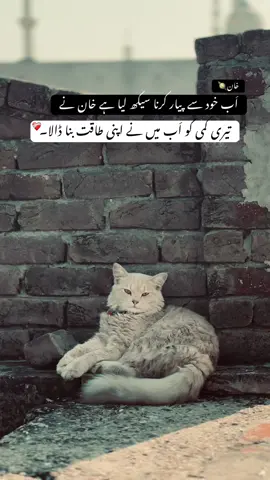 Last stage❤️‍🩹. . . . #fyp #reels  