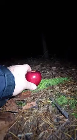 Ai eating apple caterpillar #ai #viral #apple #animals #trend 