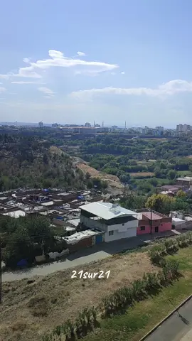 SUR 7 KARDEŞLER BURCU BENUSEN❤️