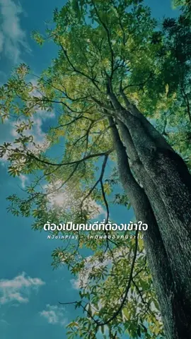 จะวิ่งมั้ยน้อ😅#เหตุผลของคนจะไป #njoinplay #เพลงฮิตtiktok #สตอรี่ความรู้สึก #CapCut 