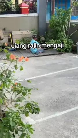 ujang mana ujang 😹#memeanomali #ujangrajinmengaji #anomali #memes #viral 