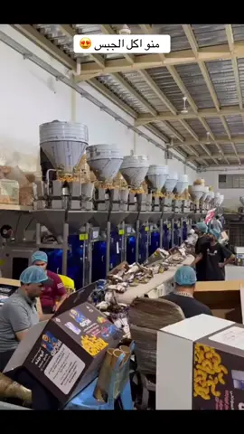 معمل انتاج جبس ابوجنه #الشعب_الصيني_ماله_حل😂😂 #ابوجنه #صلوا_على_رسول_الله 