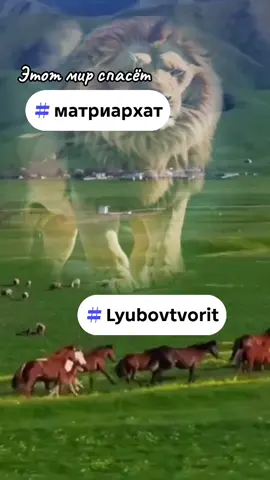 #сшивание с @КЛЭВРИКА - развивающие книги #матриархат #Lyubovtvorit #vo1n_sveta 
