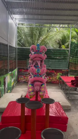 LÀO Công Tử #binhminhhomiesquad #laogicungton #laocongtu 