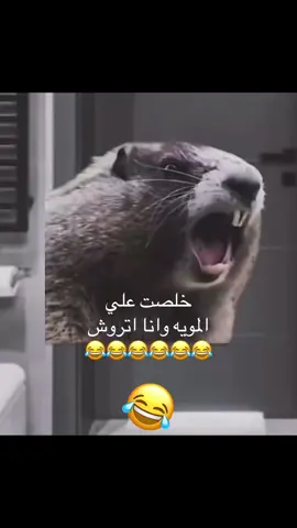 #اكسبلور #videoviral #greenscreen #meme #unfrezzmyaccount 😂😂