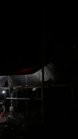 Tenang banget suasana malam dihutan#camping #bermalamdihutan 