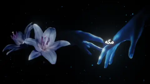 نمیدونم خوب شد یا نه ایده از:@𝖲𝗁𝖺𝗉𝖾𝗋𝗄 ✨  #creatorsearchinsights  #creatorsearchinsights  #creatorsearchinsights  #creatorsearchinsights 