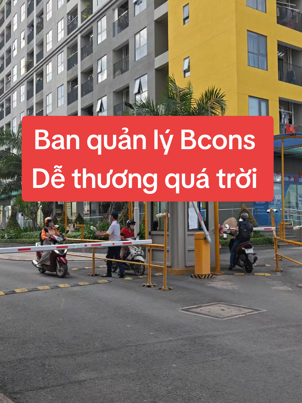 Ban quản lý Bcons  Dễ thương quá trời  #bcons #bql #20-10