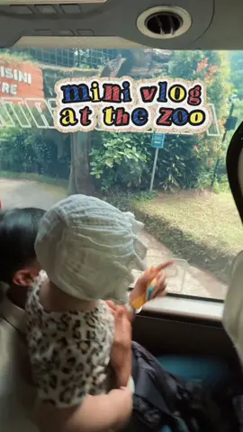 #safari #safarijourney #babyzoo 