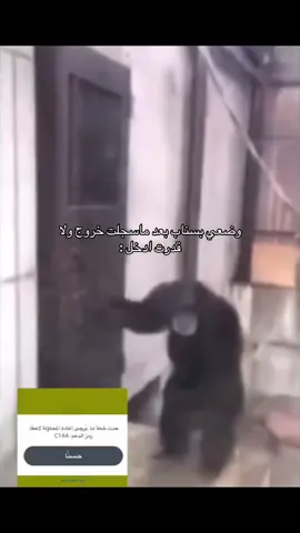 السناب معلق #السناب #مالي_خلق_احط_هاشتاقات #الشعب_الصيني_ماله_حل😂😂 #سوُن_الشريف #fyp 