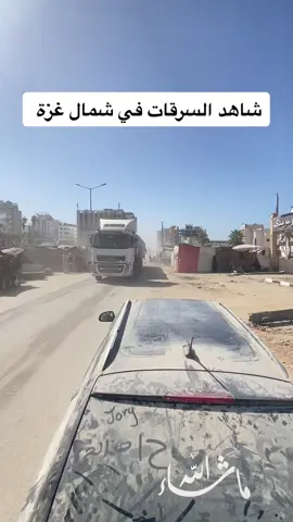 شاهد السرقات في شمال غزة 