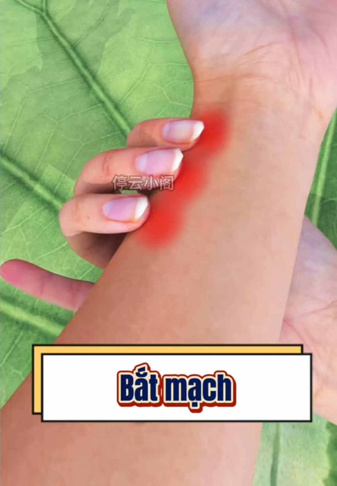 Chúc mừng bạn, bạn đã học được cách bắt mạch. #kienthucthuvi #khamphathegioi #viral #fyp 