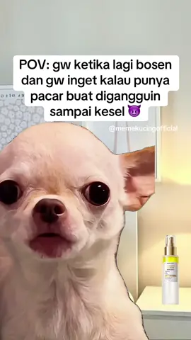 kalau dia udah kesel gw udah puas 😈😈 #memekucingofficial #midskuy #viralid #trend #memekucing 