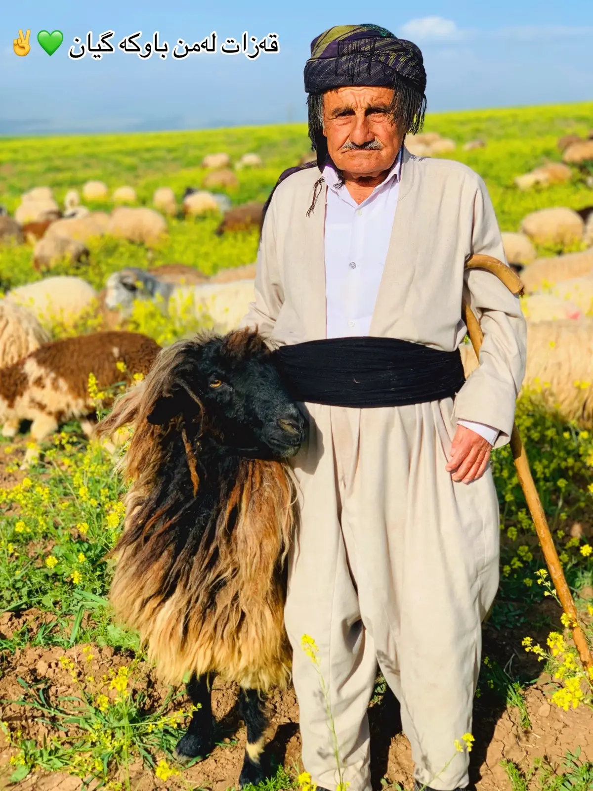 #شارەزوور #A #foryo #🥹 #✌️ 