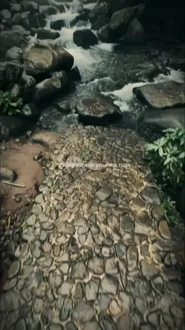 Berdamai dengan Diri Sendiri #fyp #jolotundo #viralvideo #trending #berdamaidengandirisendiri 