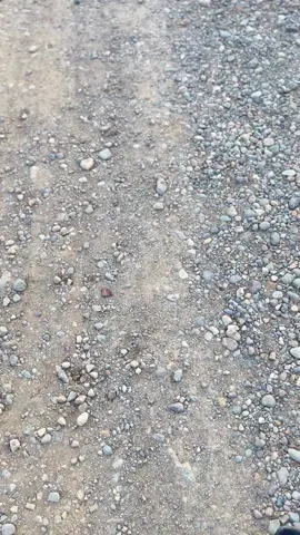 Standar#hilux #zxycba #4u #hiluxrevo #doublecabin 