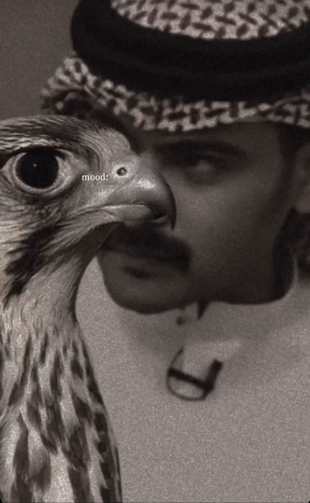 #ليك______🖤___متابعه____اكسبلووور 