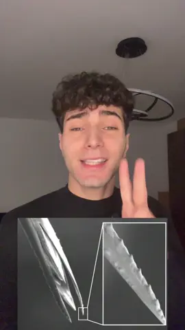 الحشرات في القرآن 👨‍⚖️