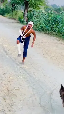 #funnyvideos #funny #foryou #fyp #dog