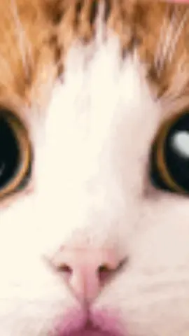 무슨색이게 ㅋ