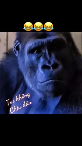 Tui không chịu đâu…😂😂😂@