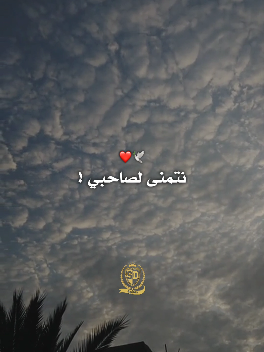 الرجال بالرجال ❤️🕊️ #djalilpalermo #viral 