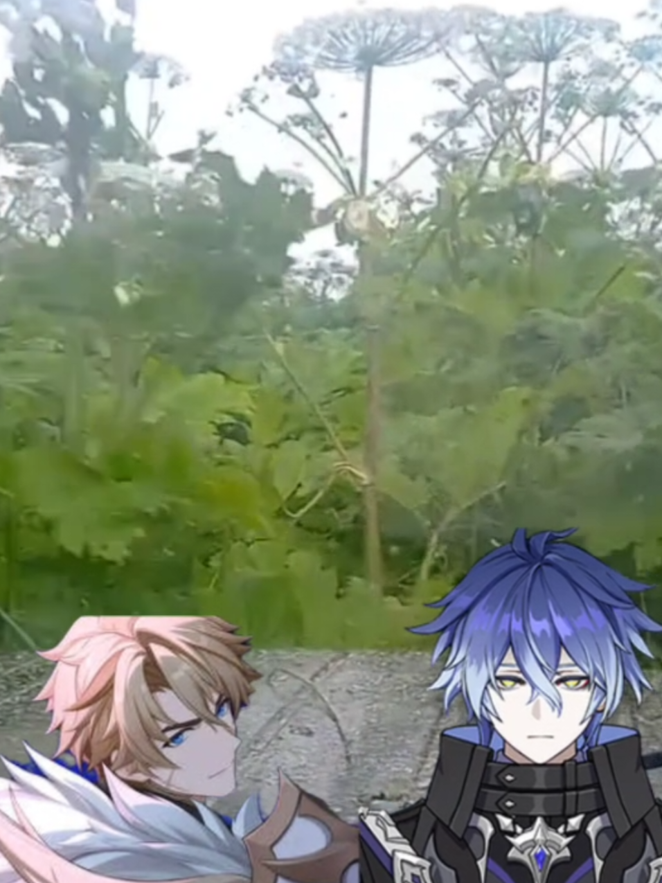 Так и будет 100000%. (голос на фоне это Ягода, реально) // #genshin #varka #kyryll #luna2 #nodkrai 