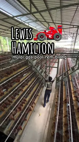 Gass poll rem blong 🤣🤣#kandangayampetelur #peternakayampetelur #peternakanayampetelur #kandangayam 