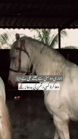 HAN G 💀.    #foryoupage #viraltiktok #poetrystatus #lines🔥 #unfreezemyacount 