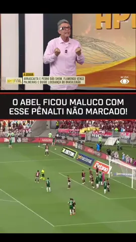 🚨 ALERTAR DE POLÊMICA 🚨 CRAQUE NETO FICOU REVOLTADO COM A ARBITRAGEM COM A NÃO MARCAÇÃO DE UM PÊNALTI PRO PALMEIRAS #craqueneto #neto #palmeira #flamengo #brasileirao 
