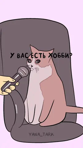 А у вас есть хобби?  #хобби #мем #смешное #котики #смешноевидео 