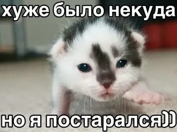 Пробую себя в озвучке, день 2й🫠 #озвучкамемов#мемы#котики#рекомендации#озвучка 