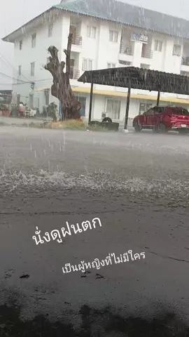 #💥🌿❤️‍🔥เทรนมาแรงอันดับ #💥🌿❤️‍🔥เทรนมาแรงอันดับ 