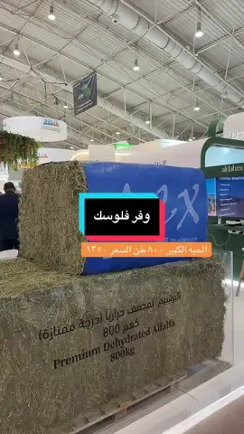 #مدينة_الانعام_ببريدة #الشعب_الصيني_ماله_حل😂😂 #الرياض_جده_مكه_الدمام_المدينه #مشاهير_تيك_توك #الطايف_الان 