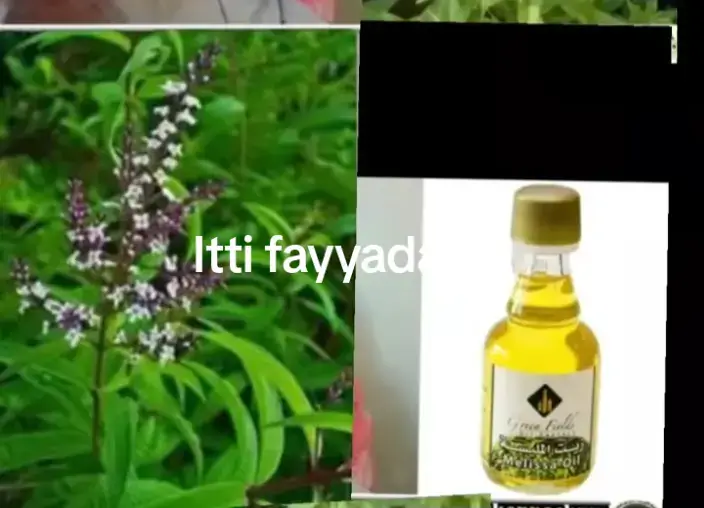 ##LIVEIncentiveProgram #LIVEMonetization #PaidPartnership #ethiopian_tik_tok🇪🇹🇪🇹🇪🇹🇪🇹 #oromotiktok❤️💚❤️ 