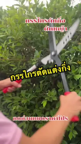 #กรรไกรตัดกิ่ง #กรรไกรตัดหญ้า #กรรไกรตัดแต่งกิ่งไม้ #เครื่องมือเกษตร #ของใช้ในสวน 