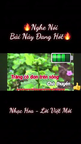 Trăng cô đơn trên sông  Chờ thuyền | Trăng Khóc Nhạc Hoa Lời Việt Mới 🔥🔥🔥