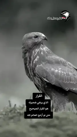 #عبارات #عباراتكم_الفخمه📿📌 #متابعة #كسبلور #تابعني 