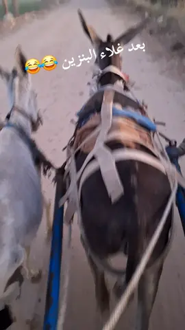 بعد غلاء البنزين 😂😂